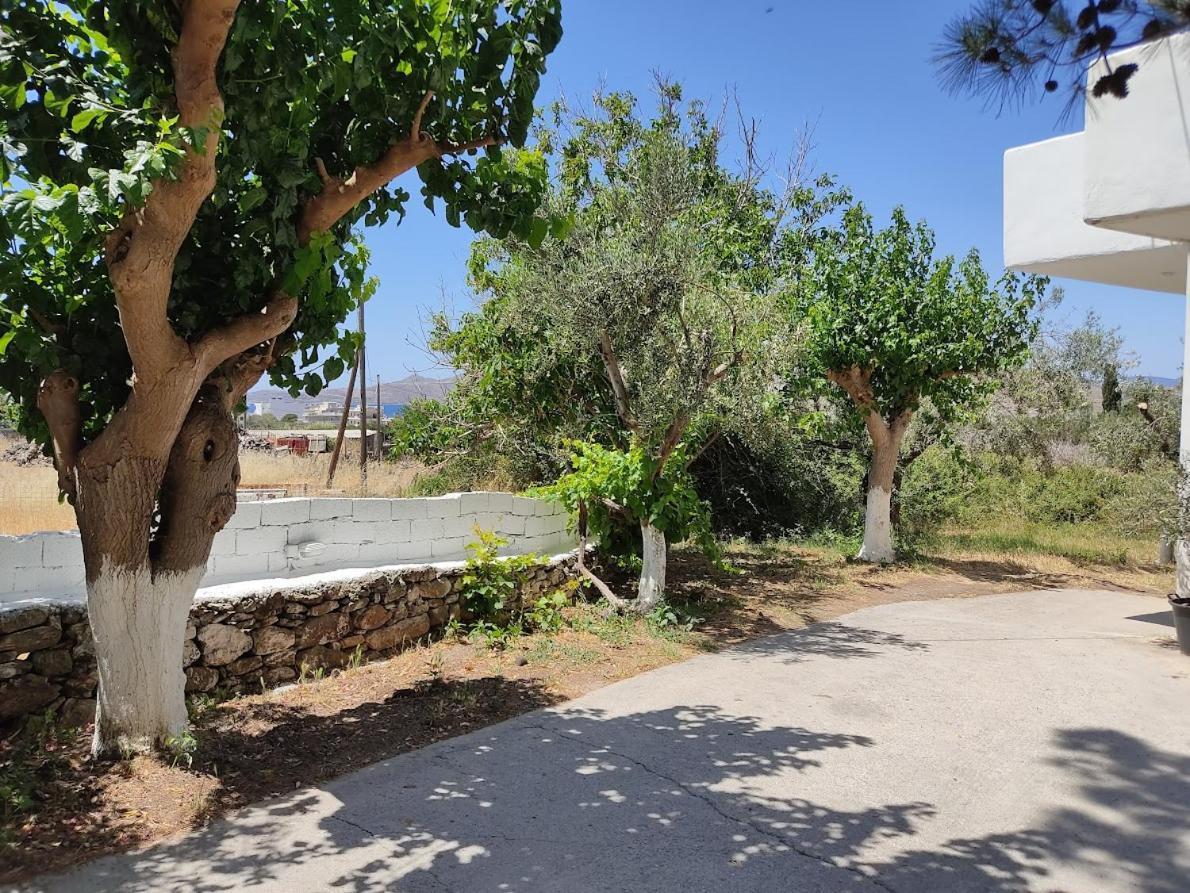 Eva'S Place كاريستوس المظهر الخارجي الصورة